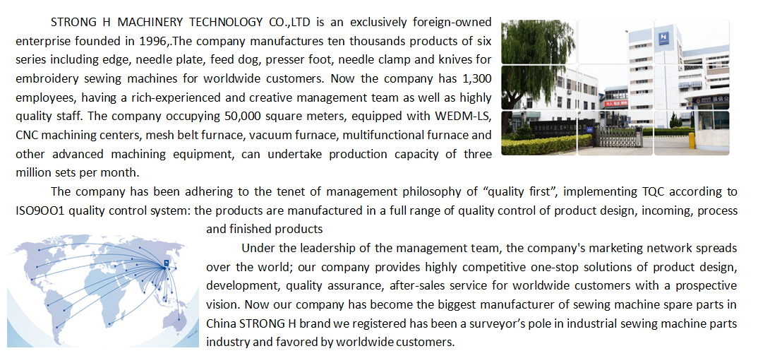 Introdu&ccedil;&atilde;o da empresa Strongh.